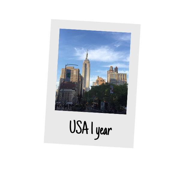 USA, 1 year