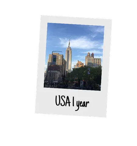 USA, 1 year